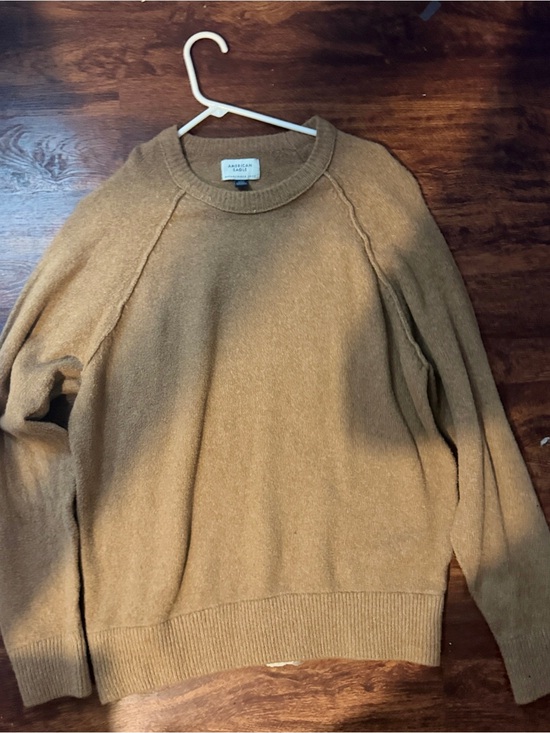 American Eagle Outfitters Other - American Eagle Outfitters women’s Crewneck Sweater in Camel/brown